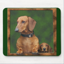 Doxies in the mousepad! mousepads