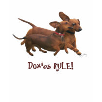 Doxies RULE! t-shirts by relativeperceptions Doxies RULE! t-shirts