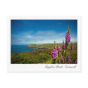 Doyden Point, Cornwall Postcard