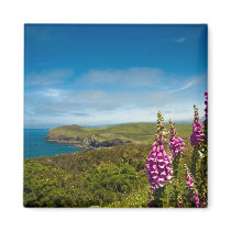Doyden Point magnets