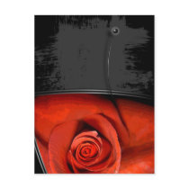 DOZEN FOR ROSE postcards