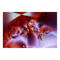 Dozen Roses posters by rmikulas Dozen Roses posters
