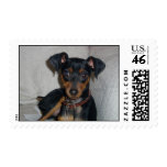 DPC_PICTURE_004.jpg postage