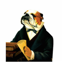DR019 English Bulldog photo sculpture magnet photo sculptures