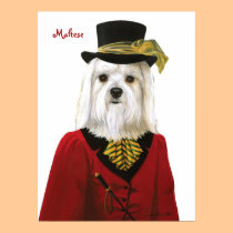 DR025 maltese poster posters
