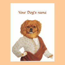 DR126 tibetan spaniel Poster posters