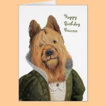 DR134 Briard Brie Shepherd, HappyBirthdayPrincess cards