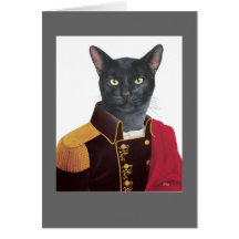 DR175 cat card