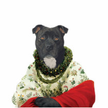 DR198 Staffordshire Bull Terrier female sculpture photo sculptures