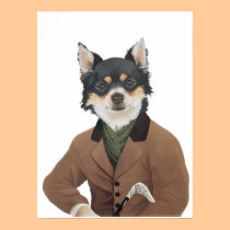 DR212 Chihuahua poster posters