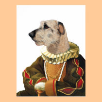 DR217 Irish Wolfhound poster posters