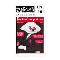 Dr. Bizou Frise on Frisequire Postage Stamp