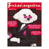 Dr. Bizou Frise on Frisesquire Poster posters