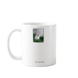 Dr. Julia de Chicken mug