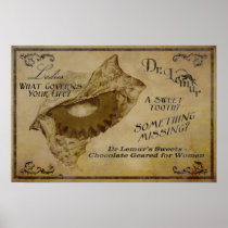 Dr. Lemur's Chocolates Posters