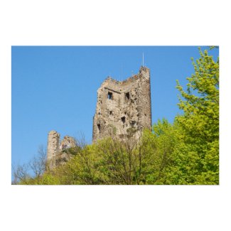 http://rlv.zcache.com/drachenfels_print-p228517850910924012vsu7_325.jpg