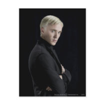 Draco Malfoy Arms Crossed Postcard