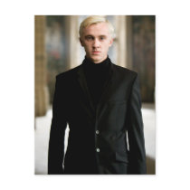 Draco Malfoy Straight On Postcards