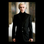 Draco Malfoy Straight On posters