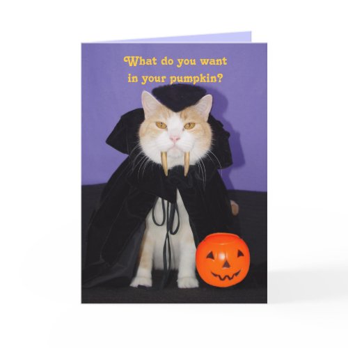 Dracula Kitty card