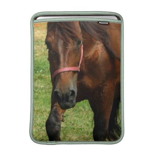 Draft Horse 13" MacBook Sleeve