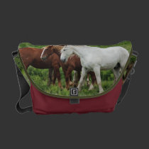Draft Horse Bag rickshaw messenger bags