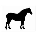 Draft Horse (black) Postcard