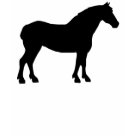 ladies_casual_longsleeve - Draft Horse (Clydesdale, Belgian, Percheron, Shire, Suffolk, American Cream Draft... ) silhouette in black looks great on a wide selection of apparel, shirts, t-shirts & gift items for draft horse lovers. Available in an assortment of styles, colors and sizes for men and women, kids and adults. Stickers, magnets, greeting and note cards, hats, tote bags, mugs, travel mugs and more.  Tote and market bags and shirt selections available in sustainable and organic cotton options.
This design on other products and other horse designs (and dog breeds, and alpacas, too) on t-shirts, apparel & gifts at    dogsandhorses.