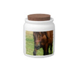 Draft Horse Candy Jar