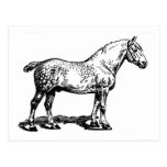 Draft Horse -- Dappled Post Cards