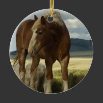 Draft Horse Ornament ornaments