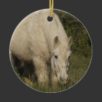 Draft Horse Ornament ornaments