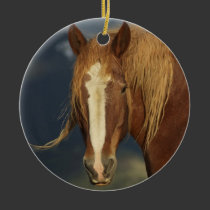 Draft Horse Ornament ornaments