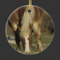 Draft Horse Ornament ornaments