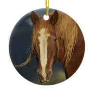 Draft Horse Ornament