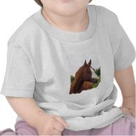 Draft Horse Photo Baby T-Shirt