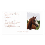 Draft Horse Photo Business Card