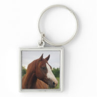 Draft Horse Photo Keychain
