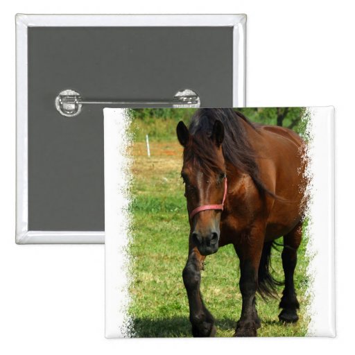 Draft Horse Square Pin