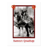 Draft Horse Team, Seasons Greetings Postcard