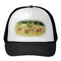 Draft horses in field hats