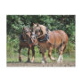 Draft horses in harness postcard