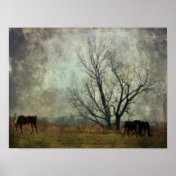 Draft Horses in the Field Poster