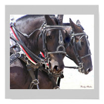 Draft Horses Poster #2 posters by RookyStudios Draft Horses Poster #2 posters