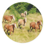 Draft Horses running in field Stickers