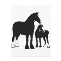 Draft Mare and Foal Post Cards