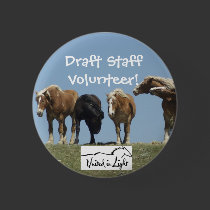 Draft Staff Volunteer! buttons