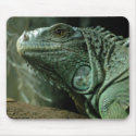 Dragg-on Mousepad