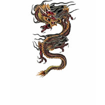 Dragon 05 - Classic Dragon Tshirt