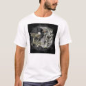 Dragon and Tiger t-shirts